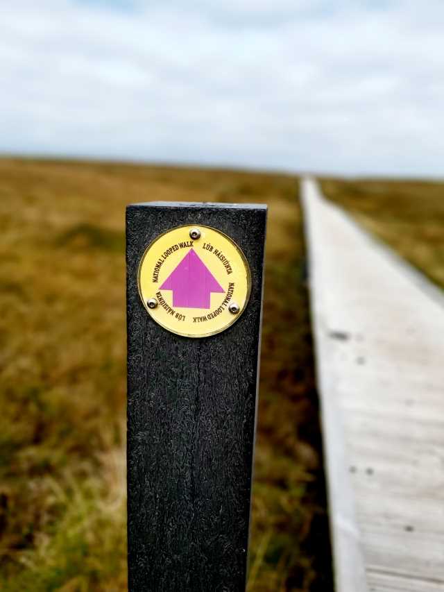 wooden signpost for the erris head loop walk, bog in background and boardwalk to the right