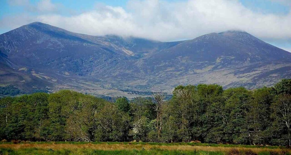 travel to Ireland's West coast - photo of killarney national park, tall coniferous trees and mountains in background