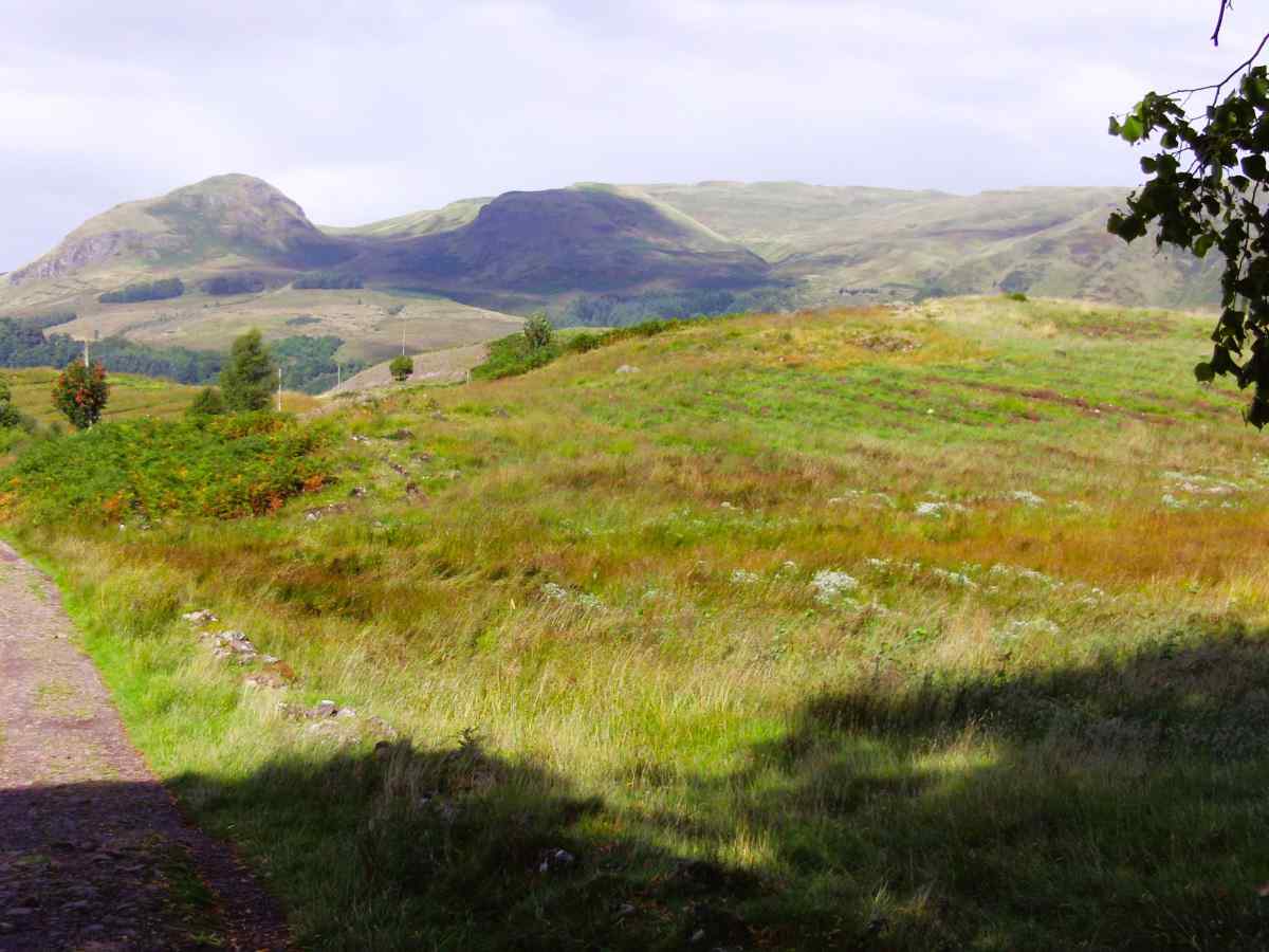 View from a shaded areas across a grassy meadow and mountains in the distance on a bright sunny day on the West Highland Way