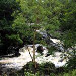 Wild river coming down a hill in a green forest - Falloch river on the West Highland Way in Scotland near Crianlarich