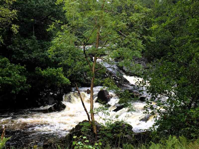 Wild river coming down a hill in a green forest - Falloch river on the West Highland Way in Scotland near Crianlarich