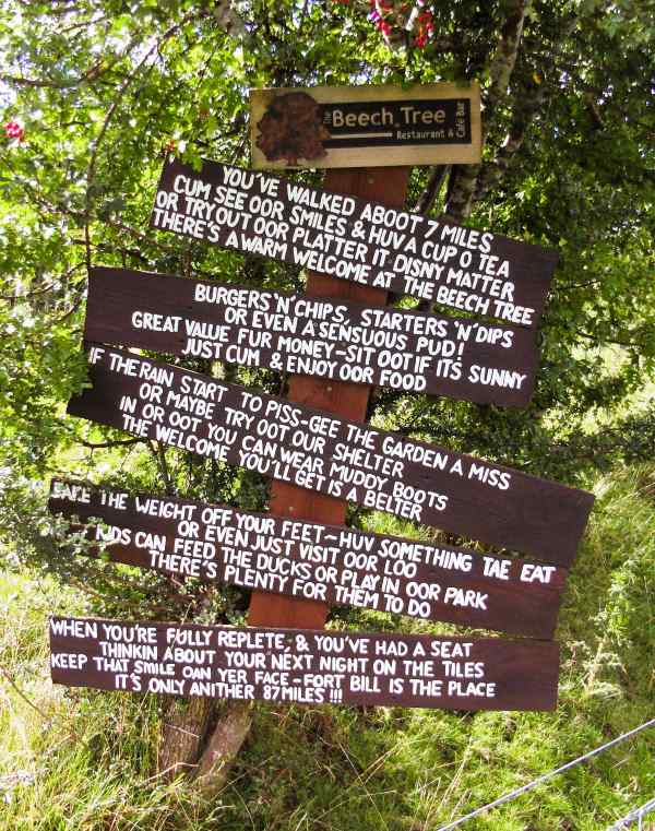 Wooden signposts attached to a tree in a foresty area on the way from Milngavie to Drymen on the west highland way, advertising the beech tree inn in a poem and a funny way. 