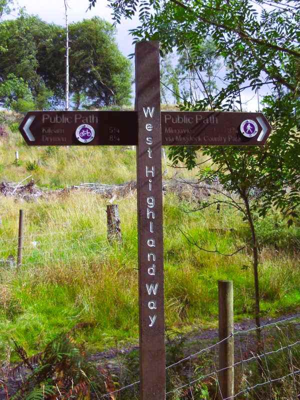 Wooden marker in a green forest path showing the direction of the West Highland Way