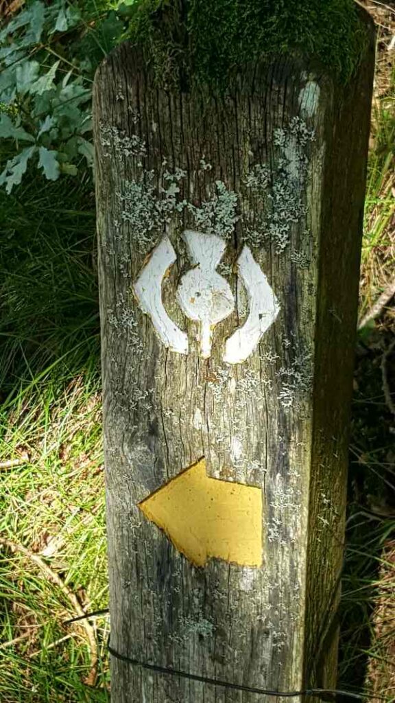 West Highland Way marker - the outline of s thistle in white paint on a wooden pole. A hundred miles hike. 