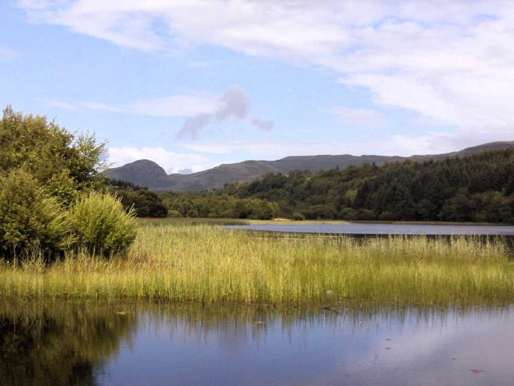 West Highland Way landscape - rolling hills in distance with a lake with reeds in the foreground