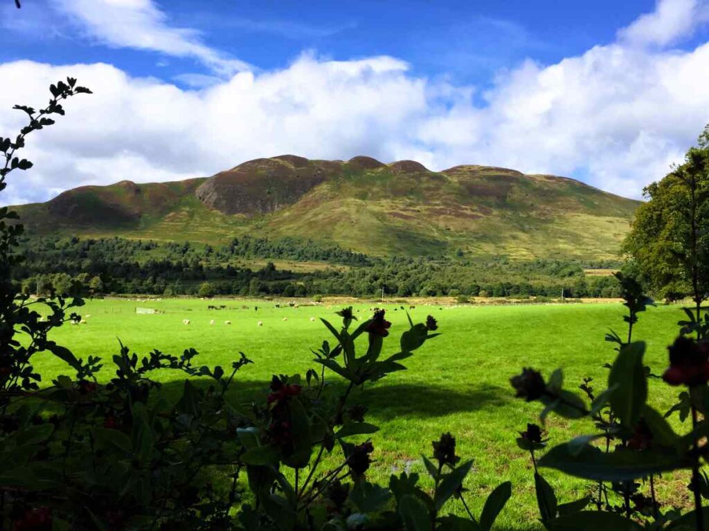 Countryside outside Drymen on west highland way, rolling hills in the distance, green fields