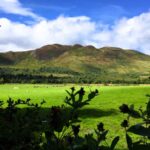 Countryside outside Drymen on west highland way, rolling hills in the distance, green fields