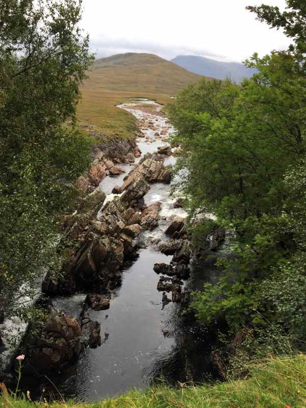 stream in the middle of a photo with green grass on both sides. Taken from a bridge. 